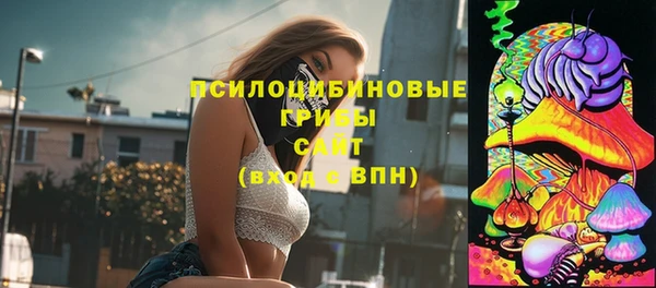 молекула духа Алексеевка