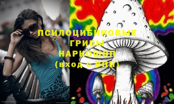 кокс Алексин